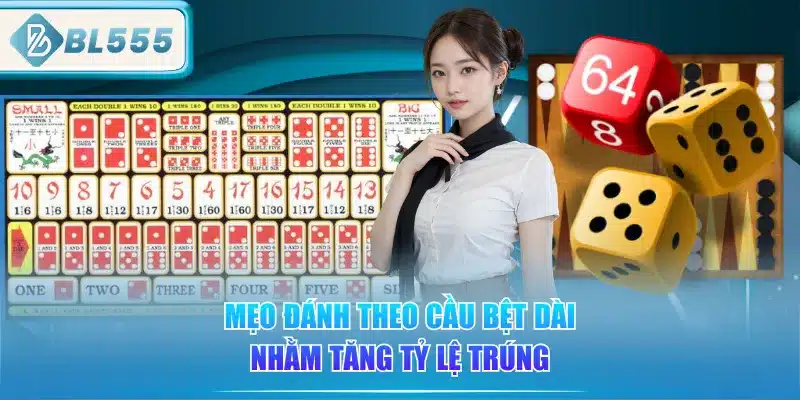 Tài Xỉu BL555 - Cách Chơi Dễ Thắng 4 meo-danh-theo-cau-bet-dai-nham-tang-ty-le-trung